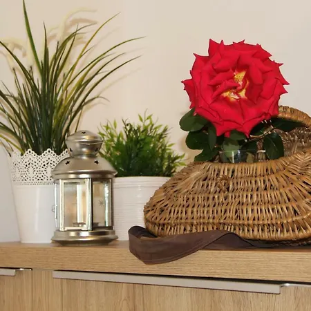 Dolce Casa Appartement Bormio