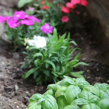 아파트 Dolce Casa *